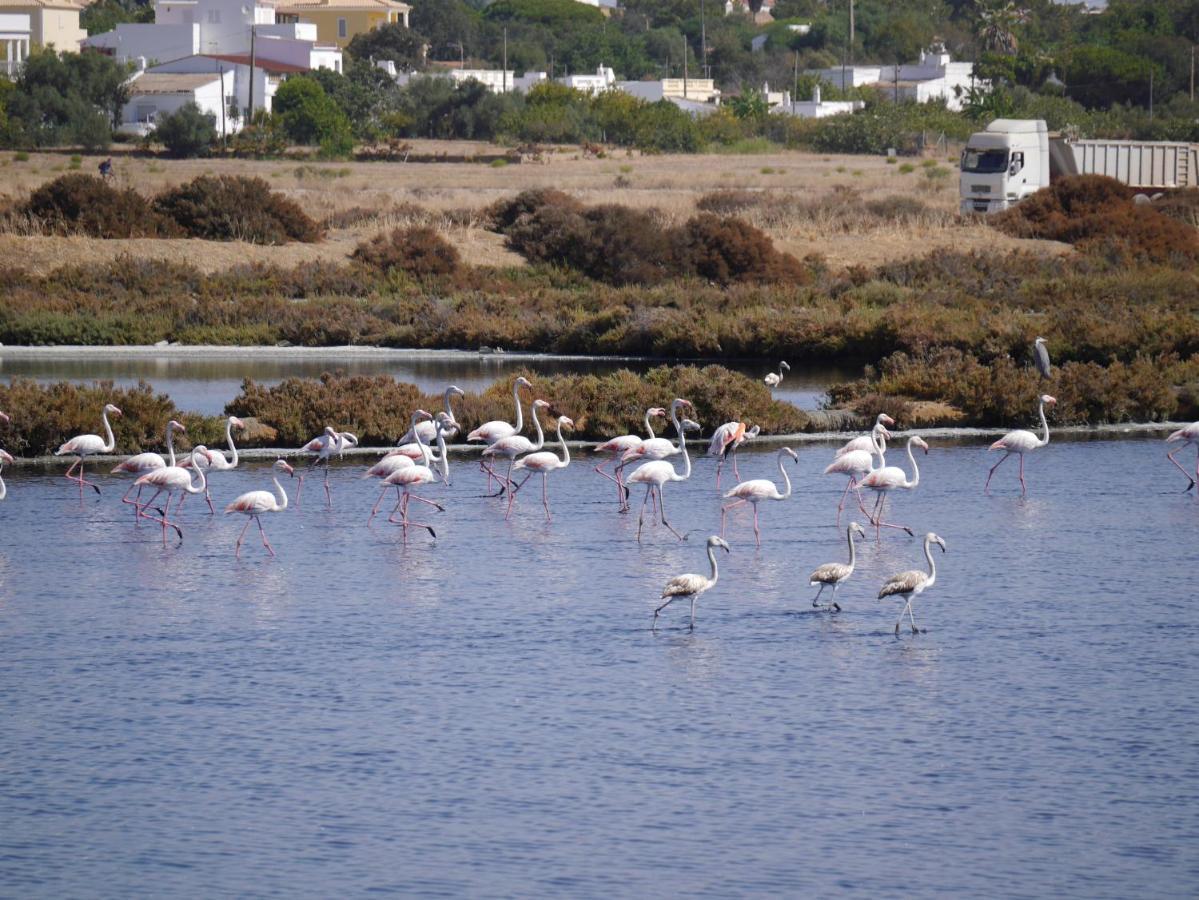 Tavira Nomad Guesthouse Екстер'єр фото